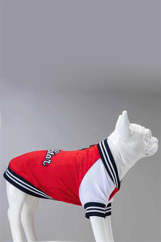 Lindodogs All Star Köpek Sweatshirt Kırmızı