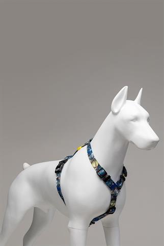 Lindodogs Apollo H Tipi Göğüs Tasması