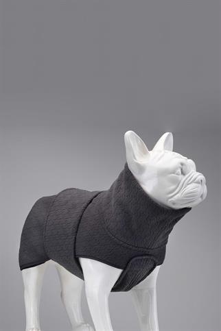 Lindodogs Ashen Grey Küçük, Orta ve Büyük Irk Köpek Sweater