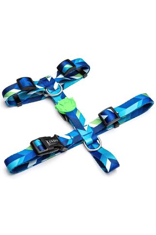 Lindodogs Blue Dream H Tipi Göğüs Tasması