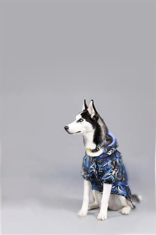 Lindodogs Blue Star İçi Polarlı Köpek Yağmurluğu