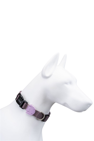 Lindodogs Blush Boyun Tasması