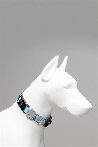 Lindodogs Breeze Köpek Boyun Tasması