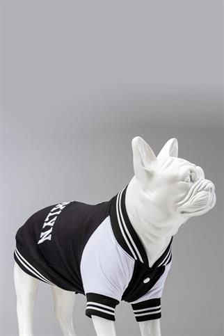 Lindodogs Brooklyn Köpek Sweatshirt Siyah