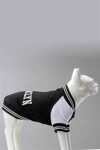 Lindodogs Brooklyn Köpek Sweatshirt Siyah