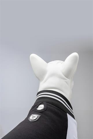 Lindodogs Brooklyn Köpek Sweatshirt Siyah