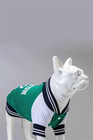 Lindodogs Collage Boston Köpek Sweatshirt Yeşil