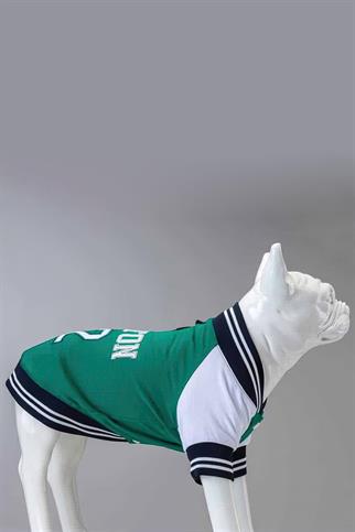 Lindodogs Collage Boston Köpek Sweatshirt Yeşil