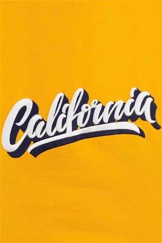 Lindodogs College California Küçük Orta ve Büyük Irk Köpek Sweatshirt