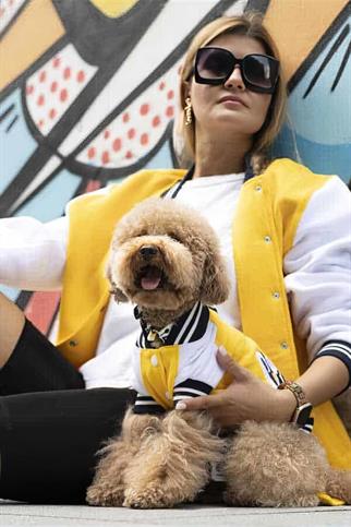 Lindodogs College California Küçük Orta ve Büyük Irk Köpek Sweatshirt