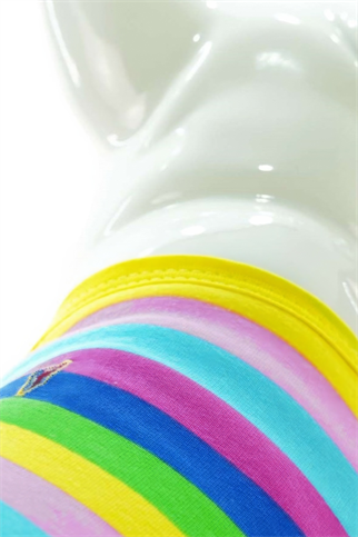 Lindodogs Color Box Köpek Tshirt