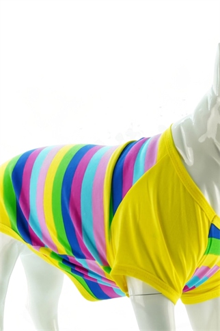 Lindodogs Color Box Köpek Tshirt