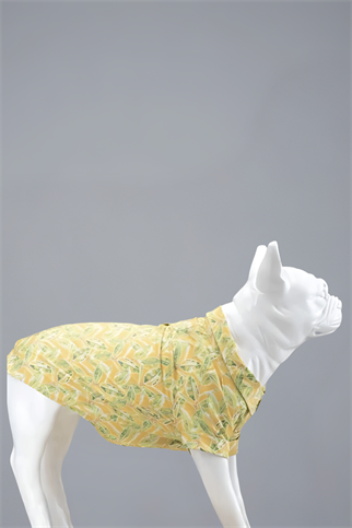 Lindodogs Cool Lime Küçük ve Orta Irk Köpek Gömleği