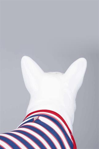 Lindodogs Double Red Küçük, Orta ve Büyük Irk Köpek Tshirt