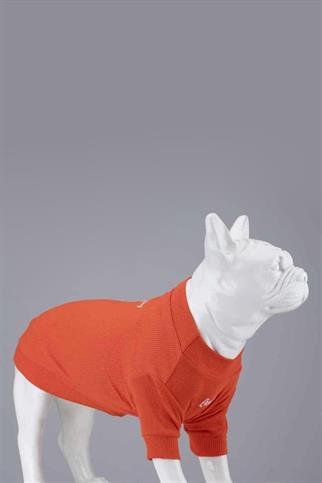 Lindodogs Flex Always Stay Free Küçük ve Orta Irk Köpek Tshirt