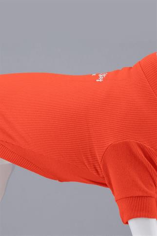 Lindodogs Flex Always Stay Free Küçük ve Orta Irk Köpek Tshirt