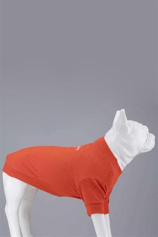 Lindodogs Flex Always Stay Free Küçük ve Orta Irk Köpek Tshirt