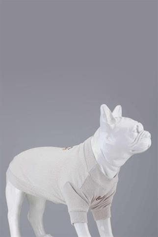 Lindodogs Flex Honey Pie Küçük ve Orta Irk Köpek Tshirt