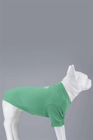 Lindodogs Flex Make Today Amazing Küçük ve Orta Irk Köpek Tshirt