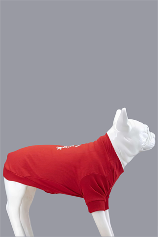 Lindodogs Flex Merry Christmas Küçük, Orta ve Büyük Irk Köpek Tshirt