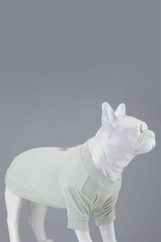 Lindodogs Flex My Raisin Cake Küçük ve Orta Irk Köpek Tshirt