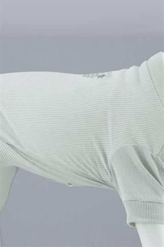 Lindodogs Flex My Raisin Cake Küçük ve Orta Irk Köpek Tshirt