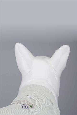 Lindodogs Flex My Raisin Cake Küçük ve Orta Irk Köpek Tshirt