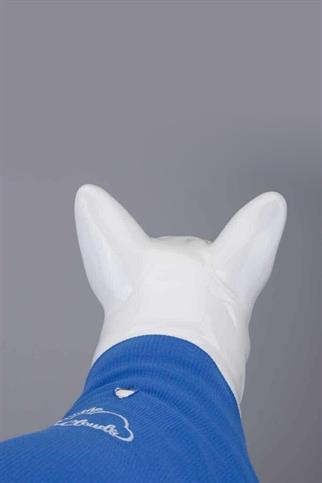 Lindodogs Flex On The Clouds Küçük ve Orta Irk Köpek Tshirt