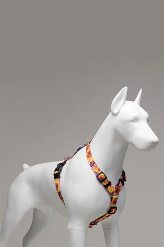 Lindodogs Gingerman H Tipi Göğüs Tasması