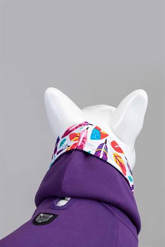 Lindodogs Indian Küçük, Orta ve Büyük Irk Köpek Sweatshirt
