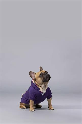Lindodogs Indian Küçük, Orta ve Büyük Irk Köpek Sweatshirt