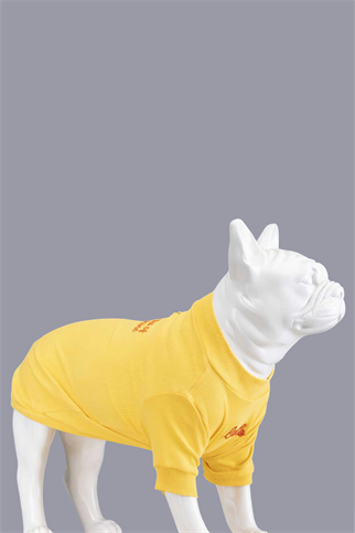 Lindodogs Little Bit of Sunshine Küçük ve Orta Irk Köpek Tshirt