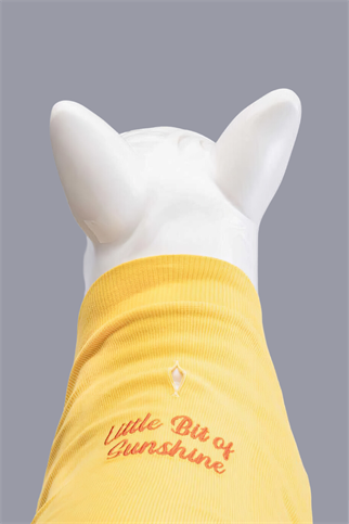 Lindodogs Little Bit of Sunshine Küçük ve Orta Irk Köpek Tshirt