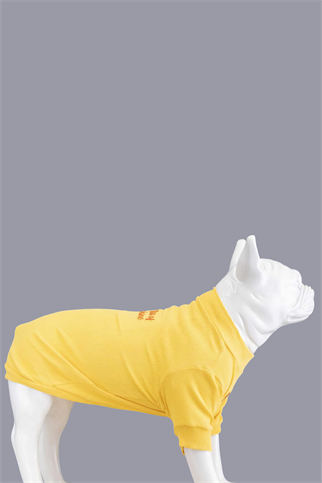 Lindodogs Little Bit of Sunshine Küçük ve Orta Irk Köpek Tshirt