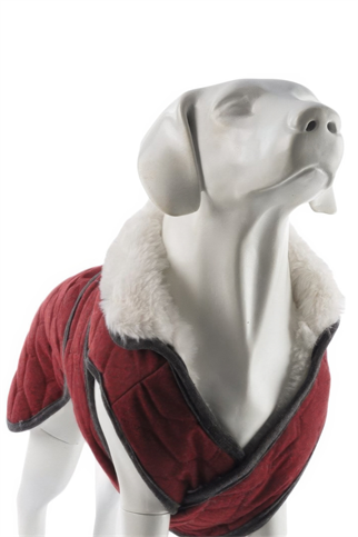 Lindodogs Luxury London Köpek Montu Bordo
