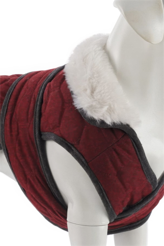 Lindodogs Luxury London Köpek Montu Bordo