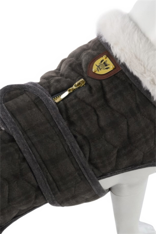 Lindodogs Luxury London Köpek Montu Yeşil Ekose