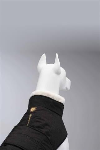 Lindodogs Luxury Plus Black Köpek Montu