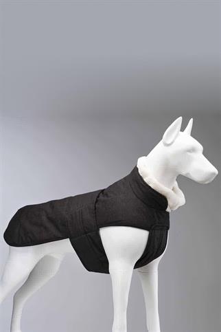 Lindodogs Luxury Plus Black Köpek Montu