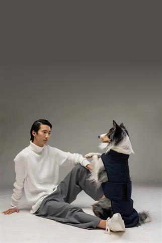 Lindodogs Luxury Plus Dark Blue Köpek Montu