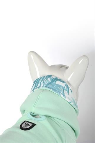 Lindodogs Mint Green Küçük, Orta ve Büyük Irk Köpek Sweatshirt