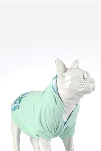 Lindodogs Mint Green Küçük, Orta ve Büyük Irk Köpek Sweatshirt