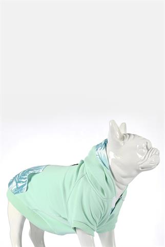 Lindodogs Mint Green Küçük, Orta ve Büyük Irk Köpek Sweatshirt