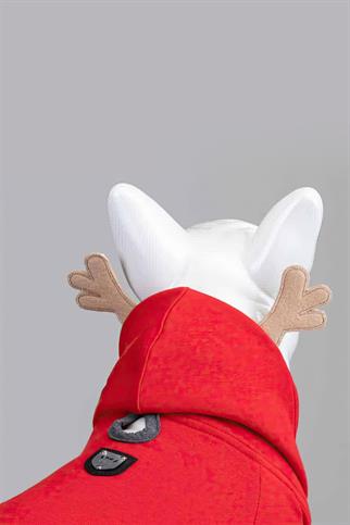 Lindodogs North Deer Küçük ve Orta Irk Köpek Kırmızı Sweatshirt