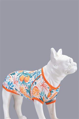 Lindodogs Orange Blossom Küçük ve Orta Irk Köpek Tshirt