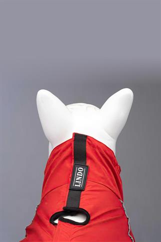 Lindodogs Quattro Nova İçi Polarlı Köpek Yağmurluğu
