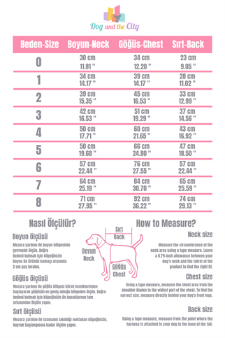 Lindodogs Rainbow Köpek Yağmurluk