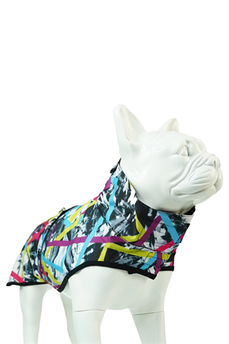 Lindodogs Rainbow Köpek Yağmurluk