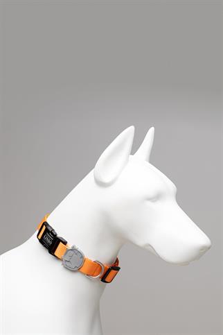 Lindodogs Royal Köpek Boyun Tasması