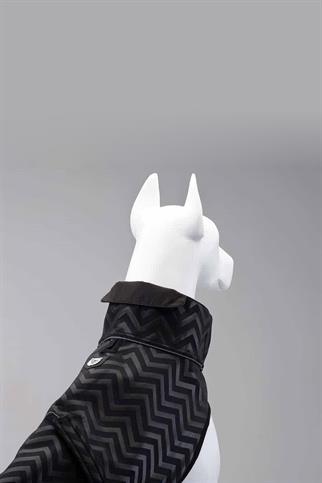 Lindodogs Softshell Black Stripe Küçük,Orta ve Büyük Irk Köpek Yağmurluğu